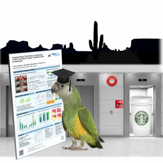 FW011: Faselwesen Elf - ♪ ♫ I touched a bird - and I liked it. ♪ ♫