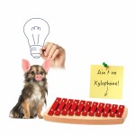 FW012: Faselwesen Zwölf - Theoretisch kreativ mit Glockenspiel