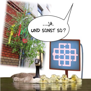 FW032: JAUNDSONSTSO - Maibaum Motion Sickness
