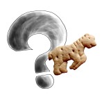 FW033: NACHGEFRAGT - Biscuit Business