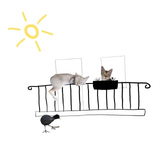 FW047: Cats of Balkonien