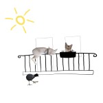 FW047: Cats of Balkonien