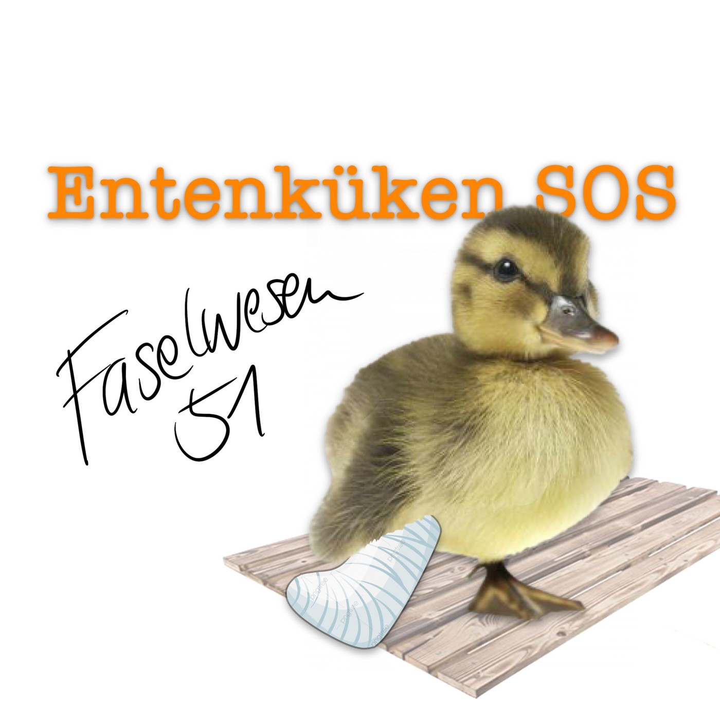 FW051: Entenküken SOS